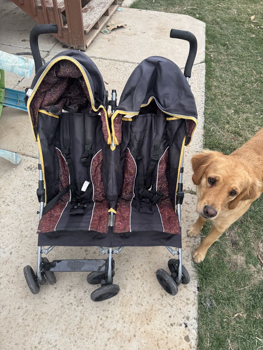Double Wide Stroller