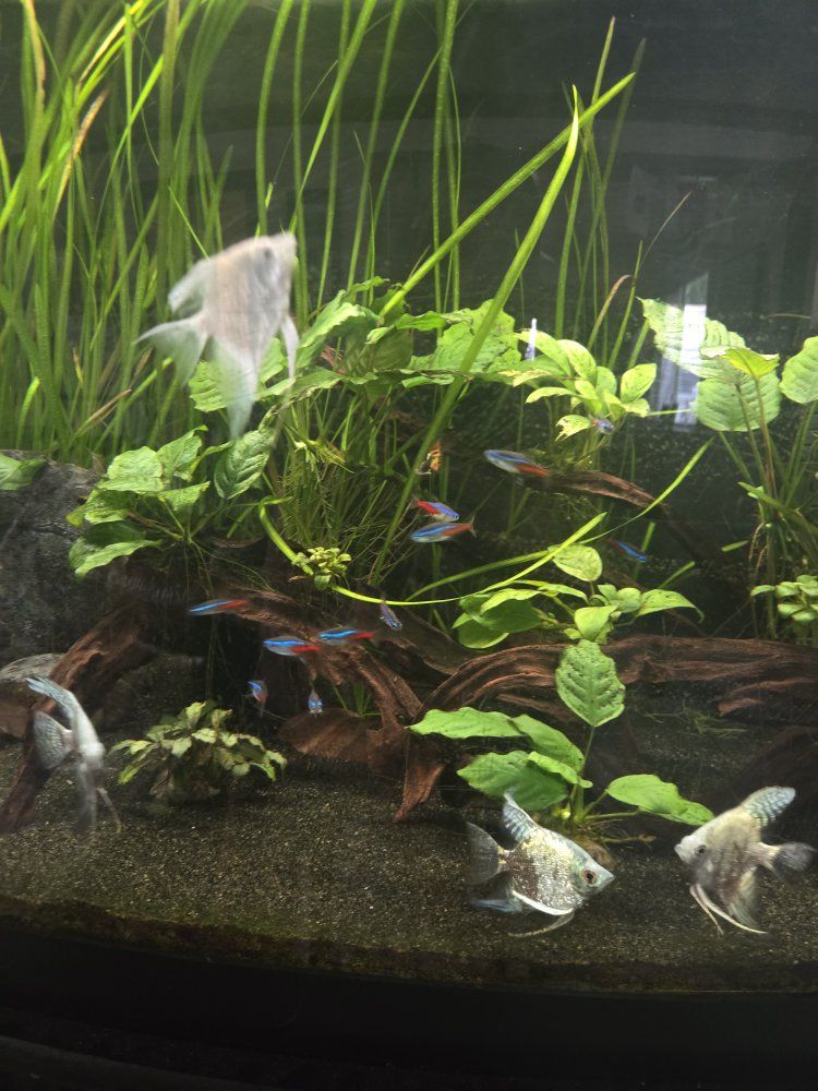 Main image 2