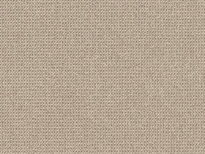 Beige Patterned Carpet Remnant - 12' x 10'3"