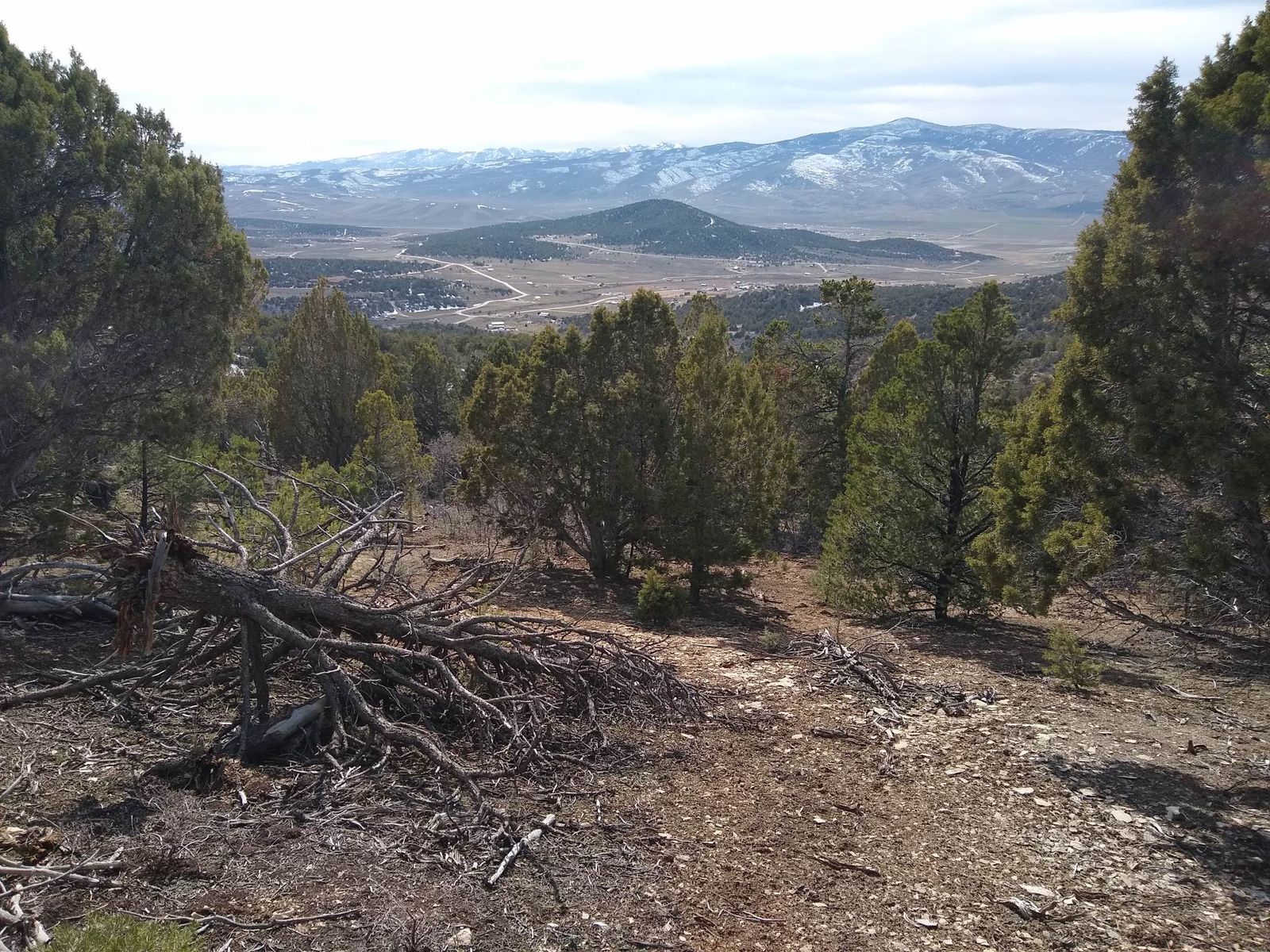 10 acre, heavily treed, buildable lot.  *Seller Financing Available