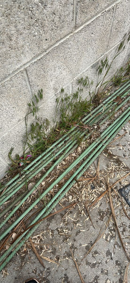 free rebar 8 pieces all 10 + feet
