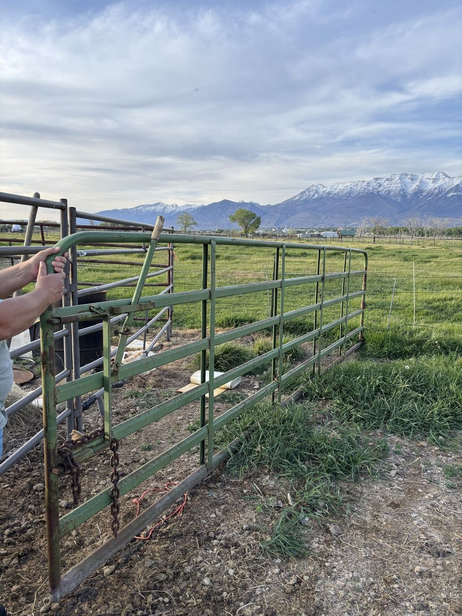 Farm gate