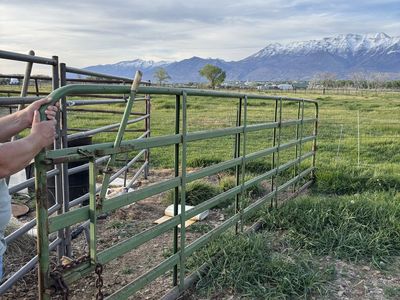 Farm gate