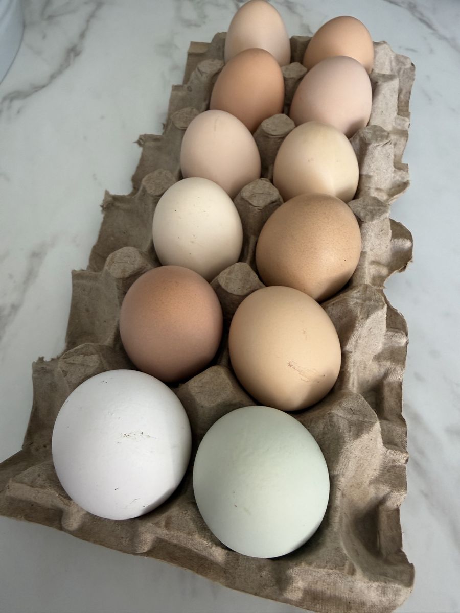 Organic Chicken Eggs