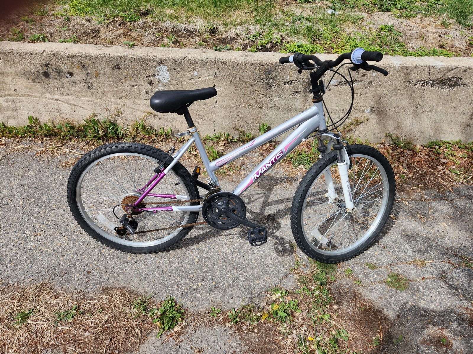 Mantis 21 speed Ladies Mountain Bike, aluminum, great tires, tuned up.