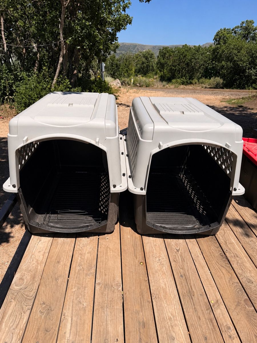 Brand New EveryYay Large Dog Kennels (2) – SAVE $85!!!