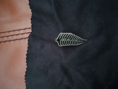 Vintage silver New Zealand lapel pin