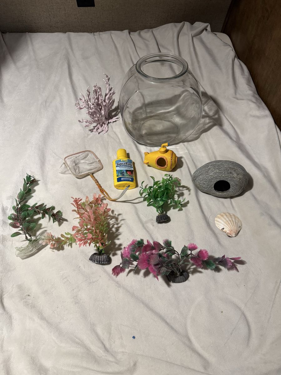 Main image 6