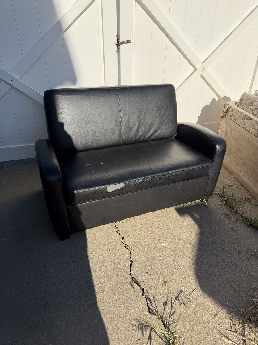 Sleeper Sofa