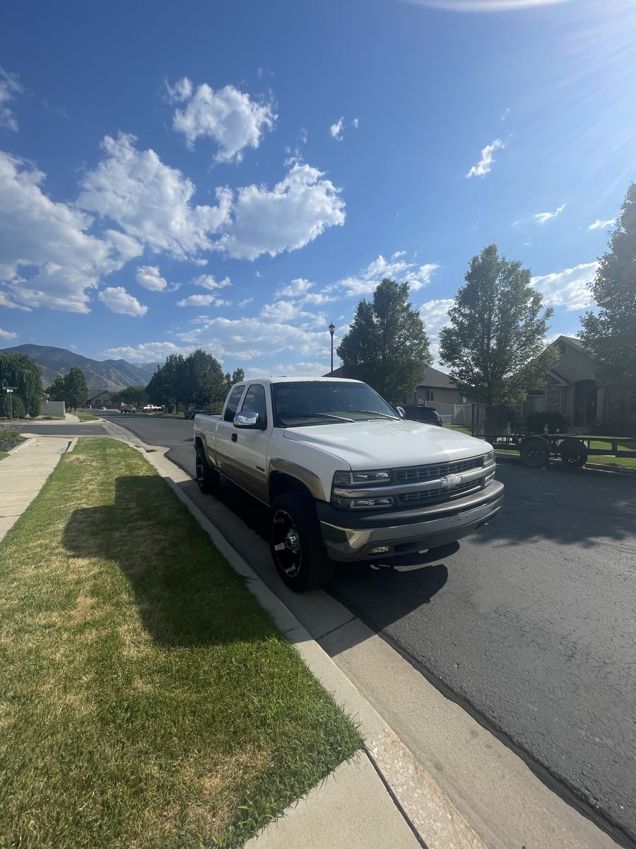 Main image 5
