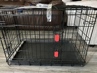 Kong dog crate