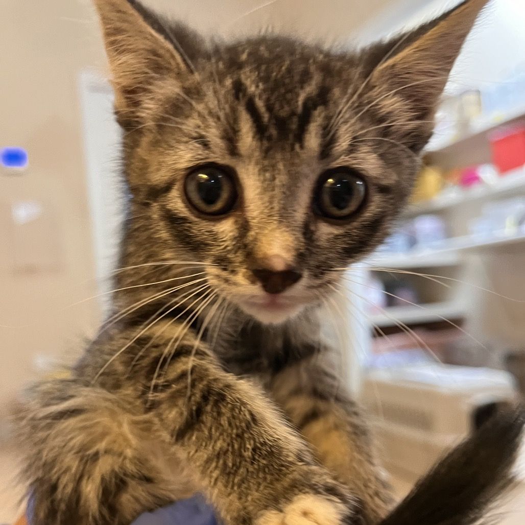 Hello my name is Treasure