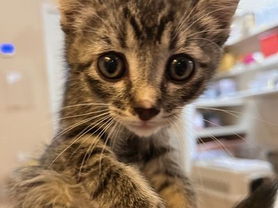 Hello my name is Treasure