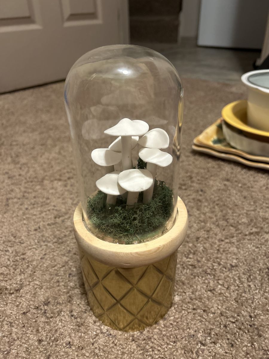 Mushroom Terrarium Decor - Glass Cloche with Faux Green Moss, White Mushrooms, Wood Base