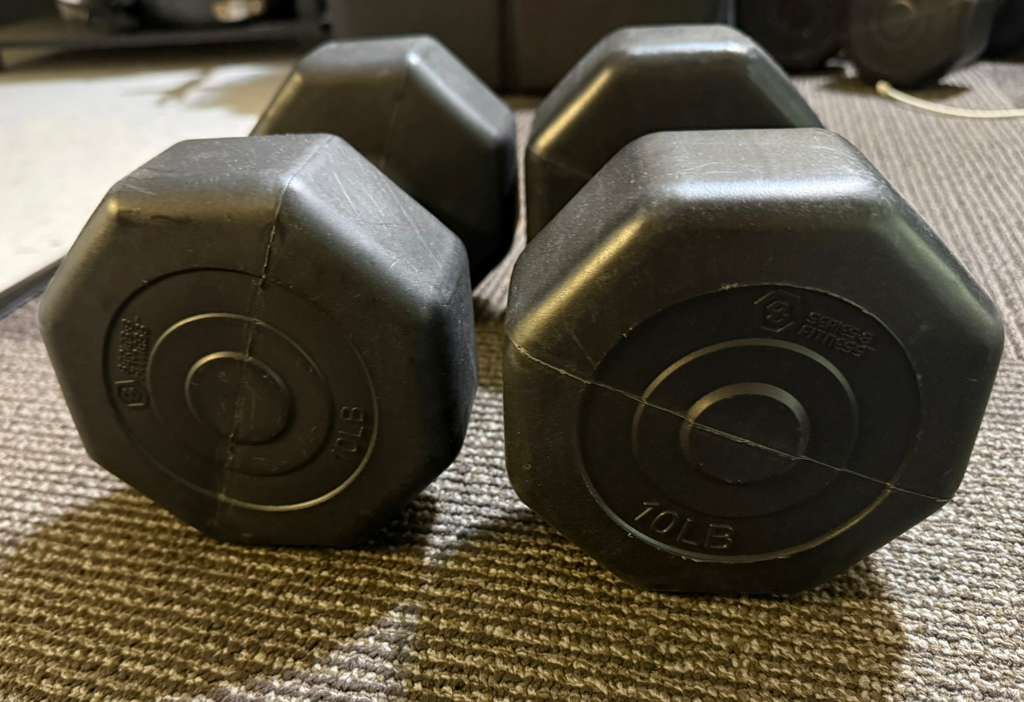 10 lbs dumbbells (x2)
