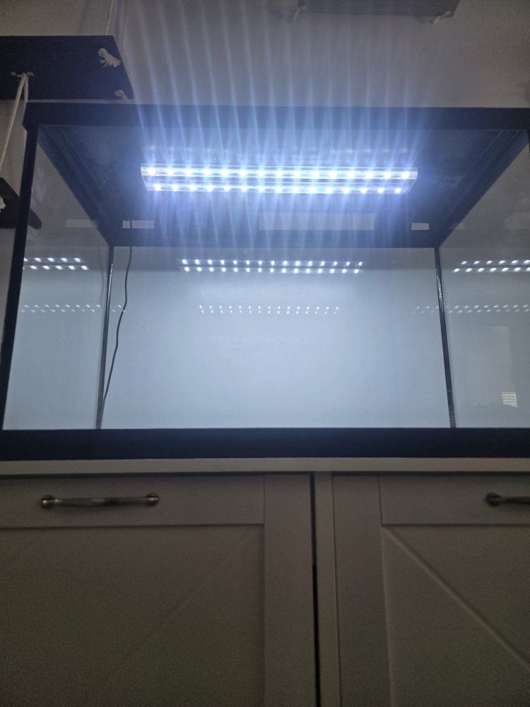 Main image 2