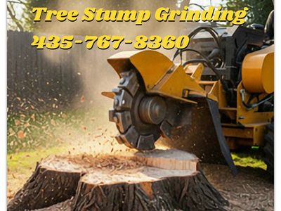 STUMP GRINDING