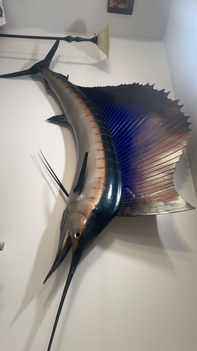 Giant Sailfish 9ft 2inch