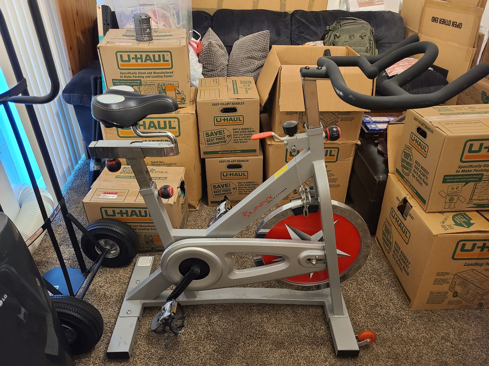 Sunny Exercise Bike