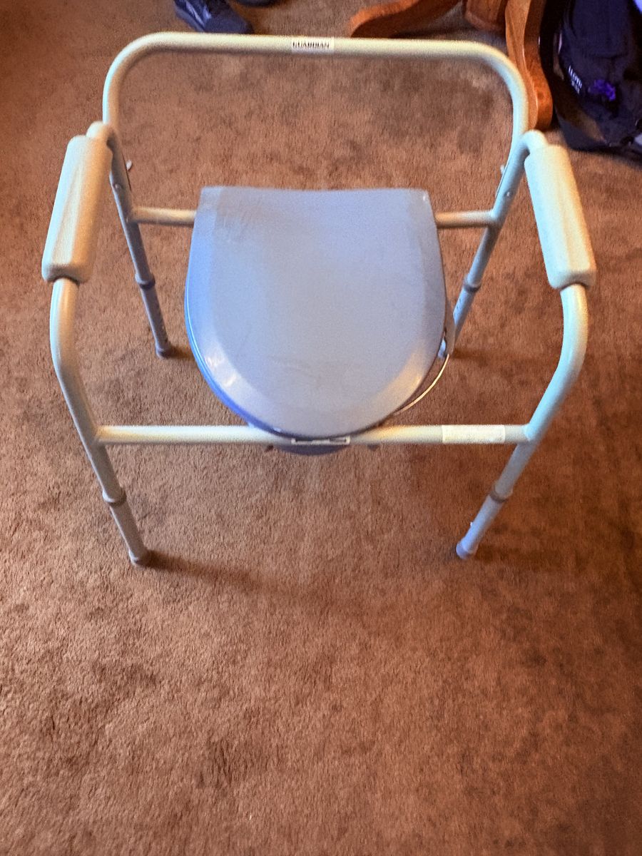 Bedside toilet