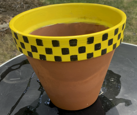 Yard Sale leftovers. Gardener's special