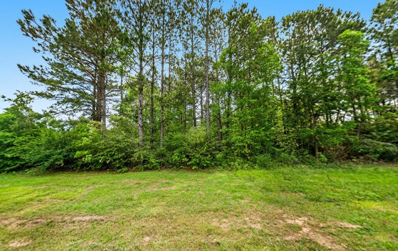 Main image 7