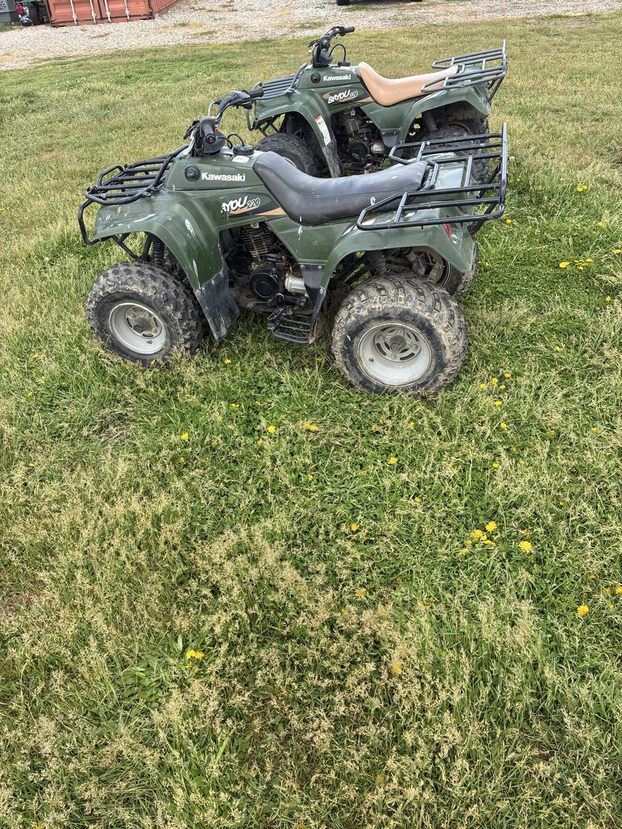 Kawasaki Bayou 220s X2