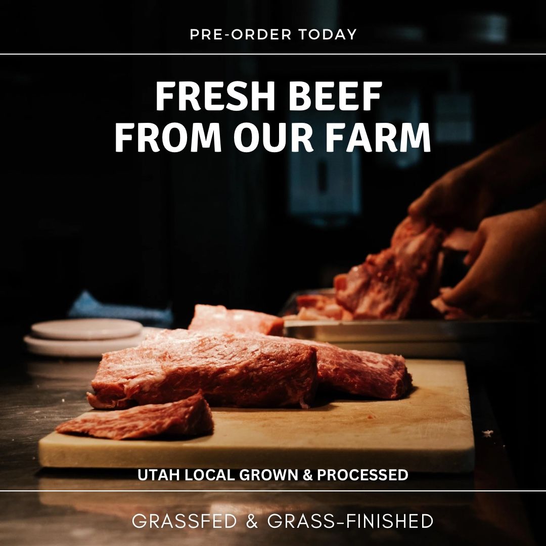 Regenerative Grass Fed and Finished Beef