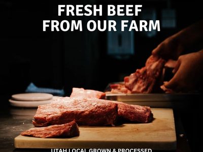 Regenerative Grass Fed and Finished Beef