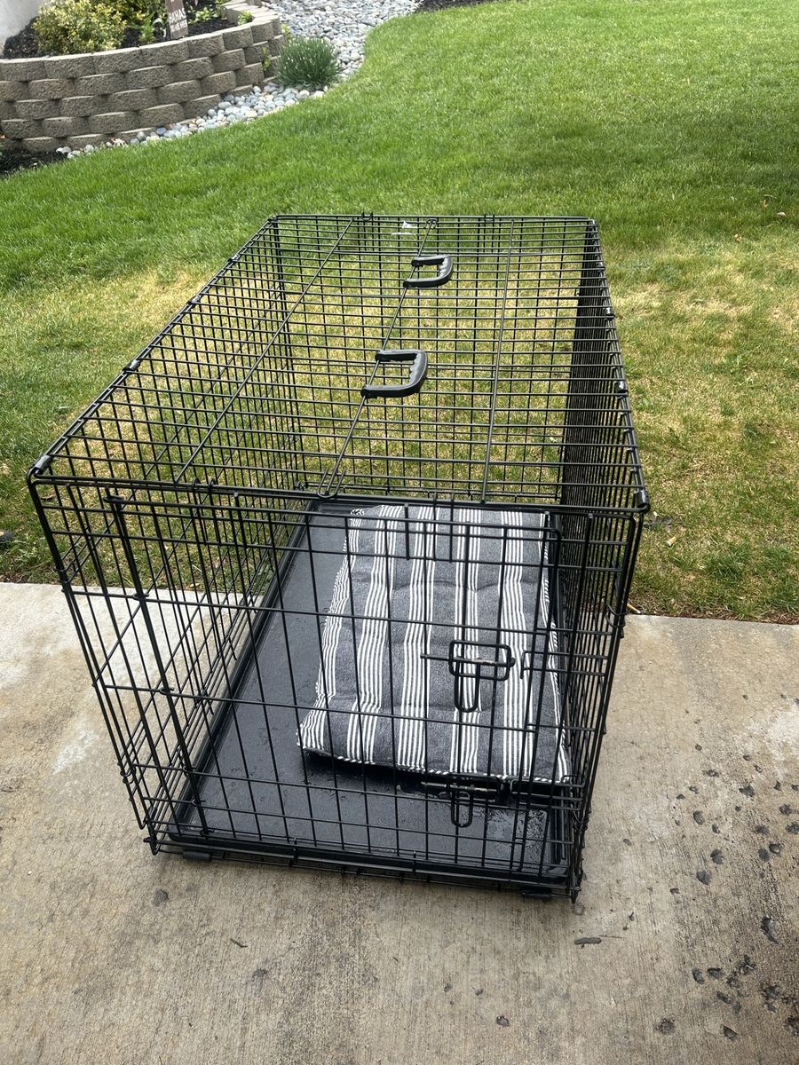 Dog kennel w/pad