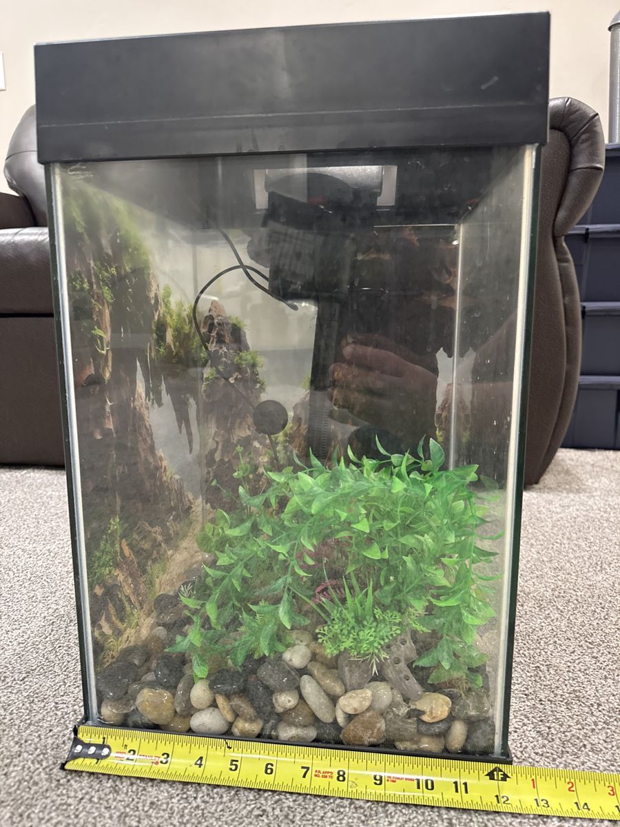 10 gallon high aquarium furnished complete