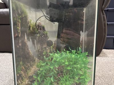 10 gallon high aquarium furnished complete
