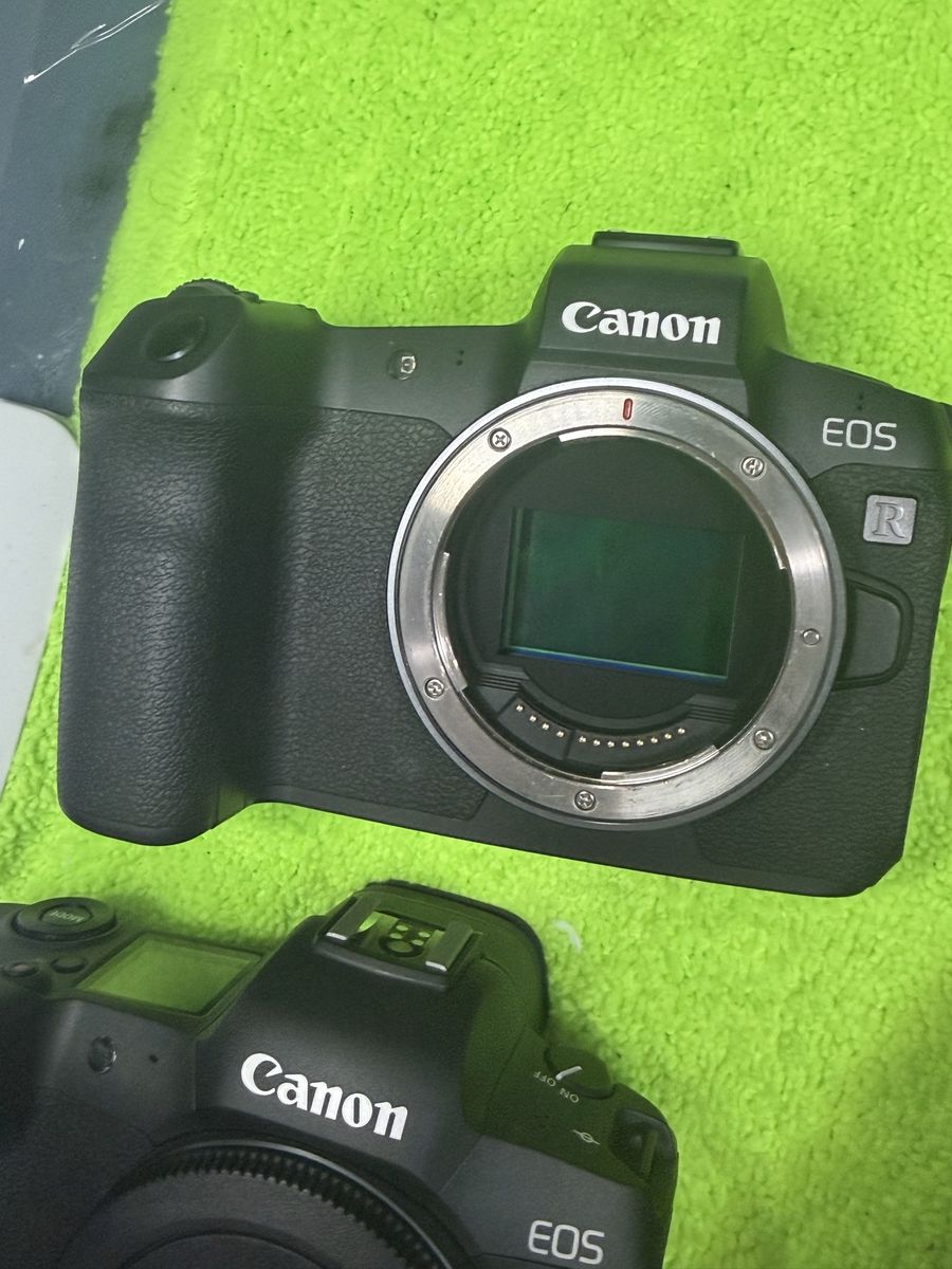 Canon R, rf50mm 1.8, rf 24-105mm stm f4-7.1