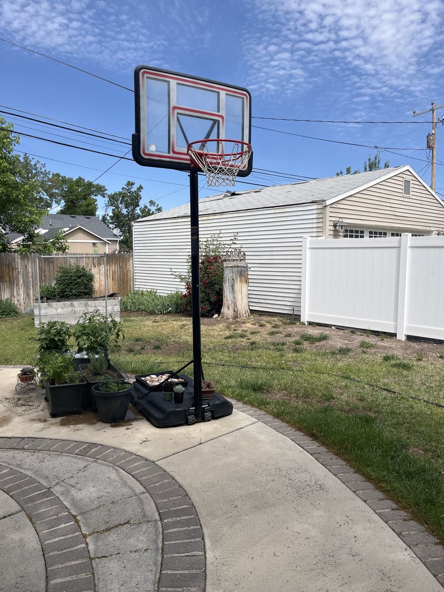 Used BB hoop and stand