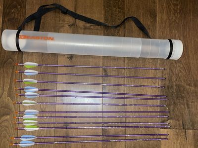 12 Easton 1616 Arrows - 26.5" with End Points and Nocks