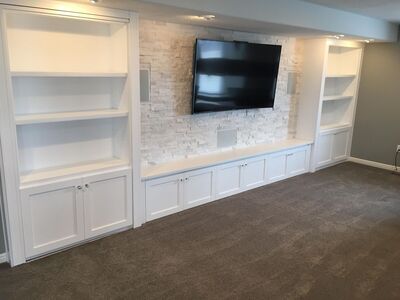 SALT | Basement Finishing | Remodels | Basement Construction | And More!