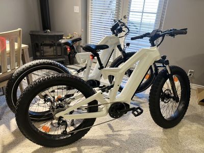 1000 Watt Mid-Drive Motor Electric Bike