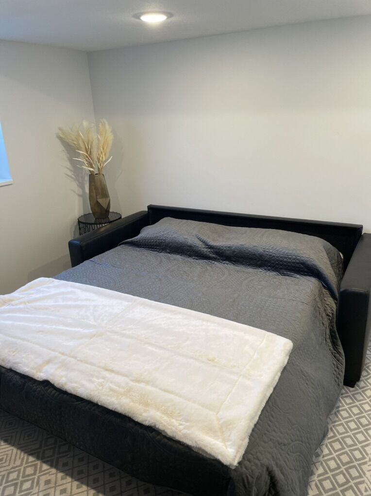 Black Leather Pull Out Sofa