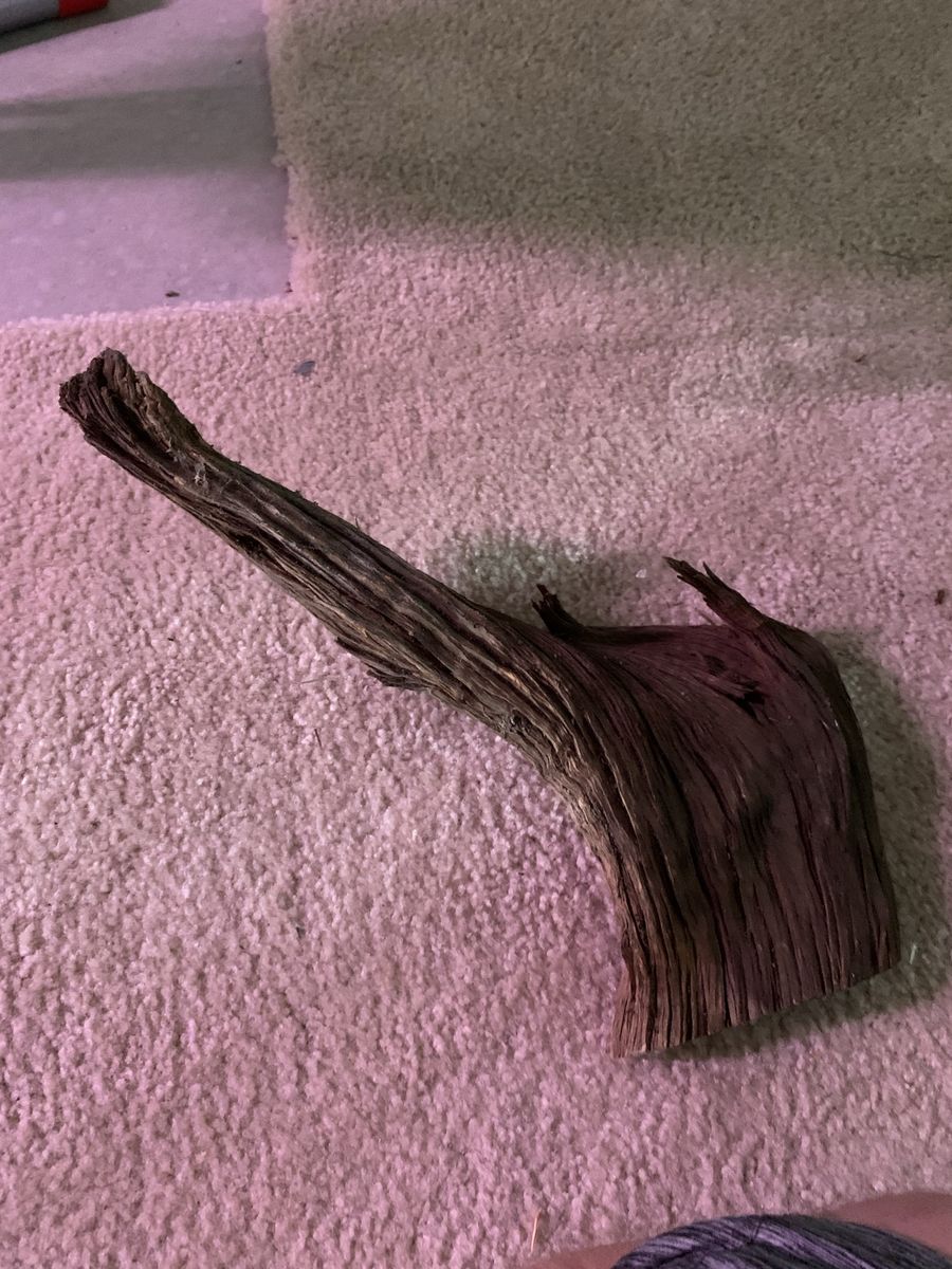 Main image 3
