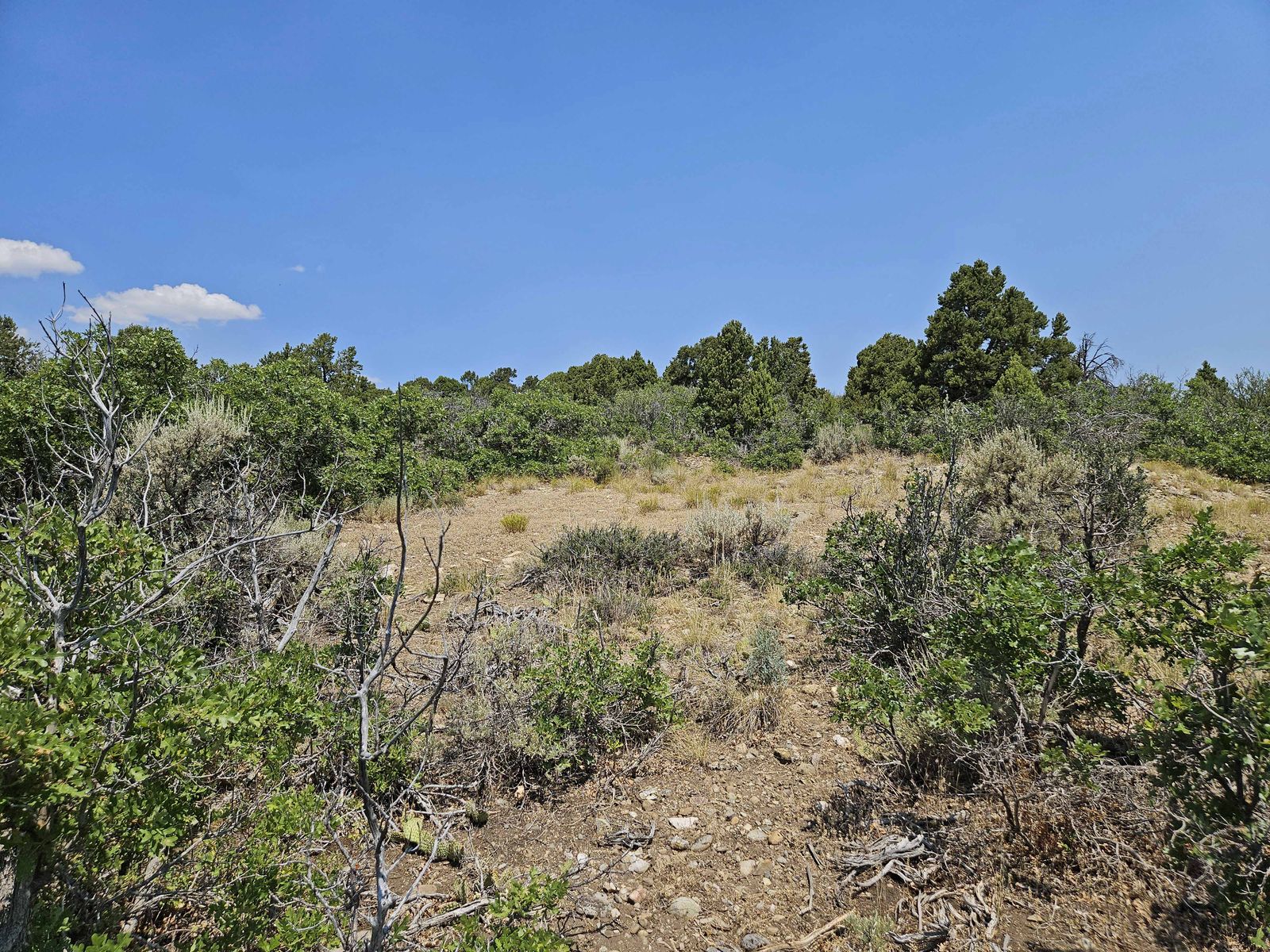 Main image 7