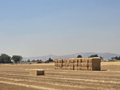 Straw 3x4x8 bales