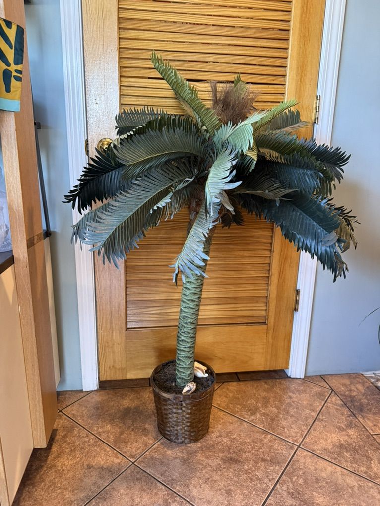 Palm Tree