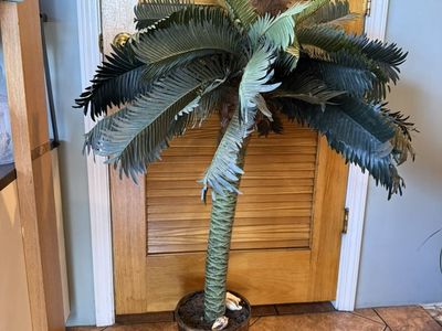 Palm Tree