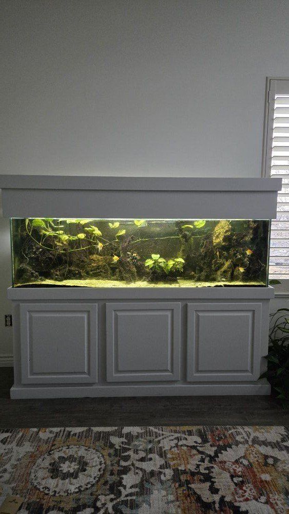 150 gallon fish aquarium