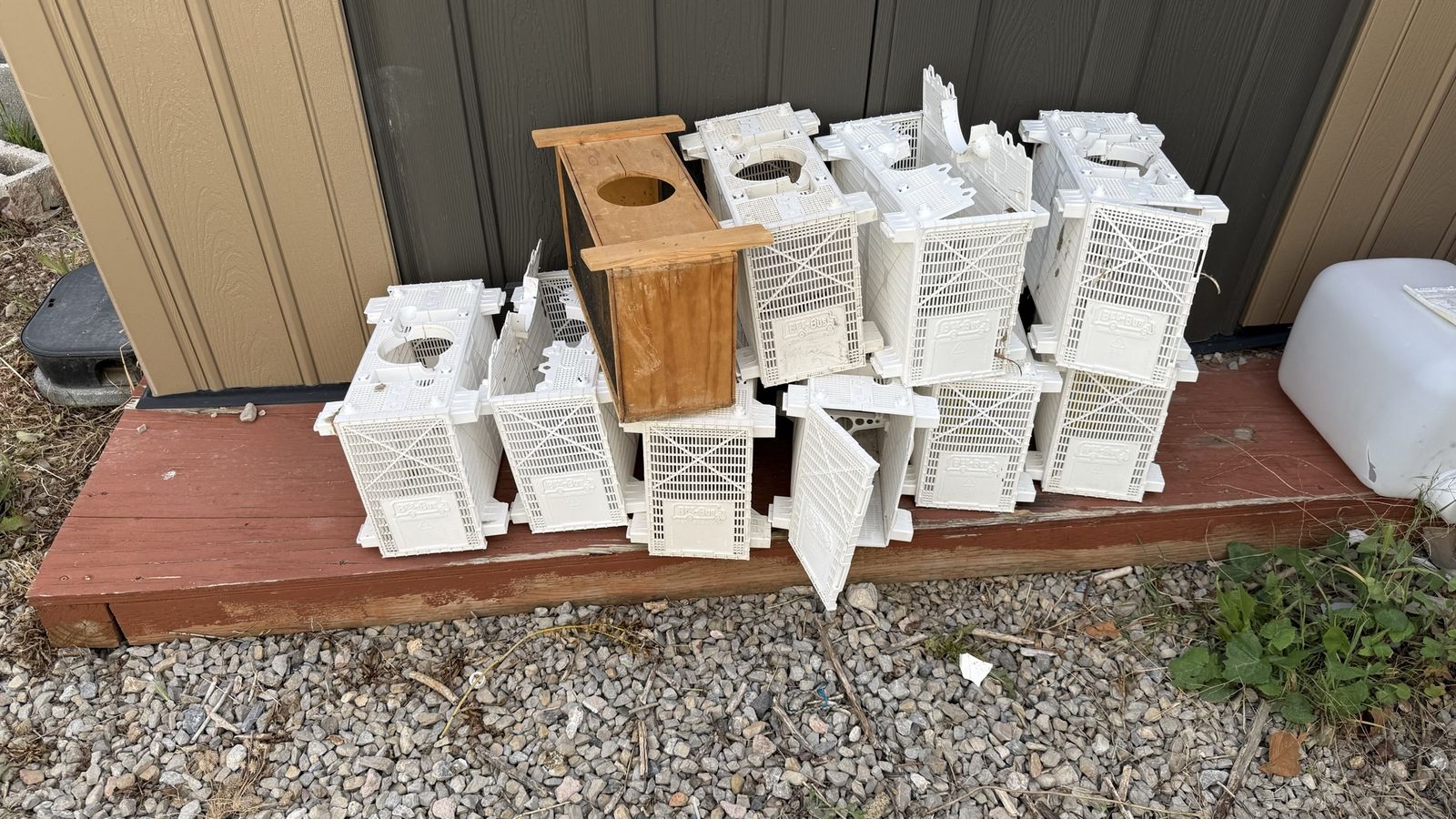 Honeybee package boxes