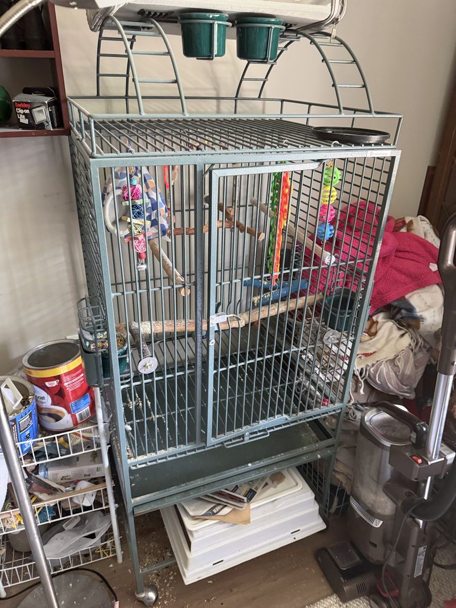 Big bird cage