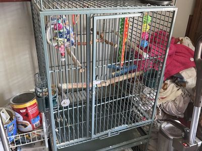 Big bird cage