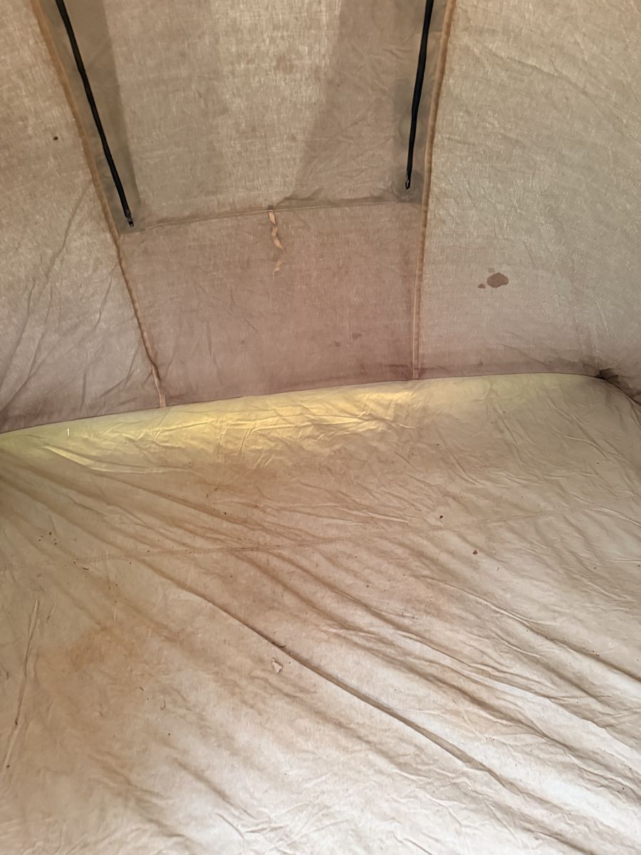 Main image 7
