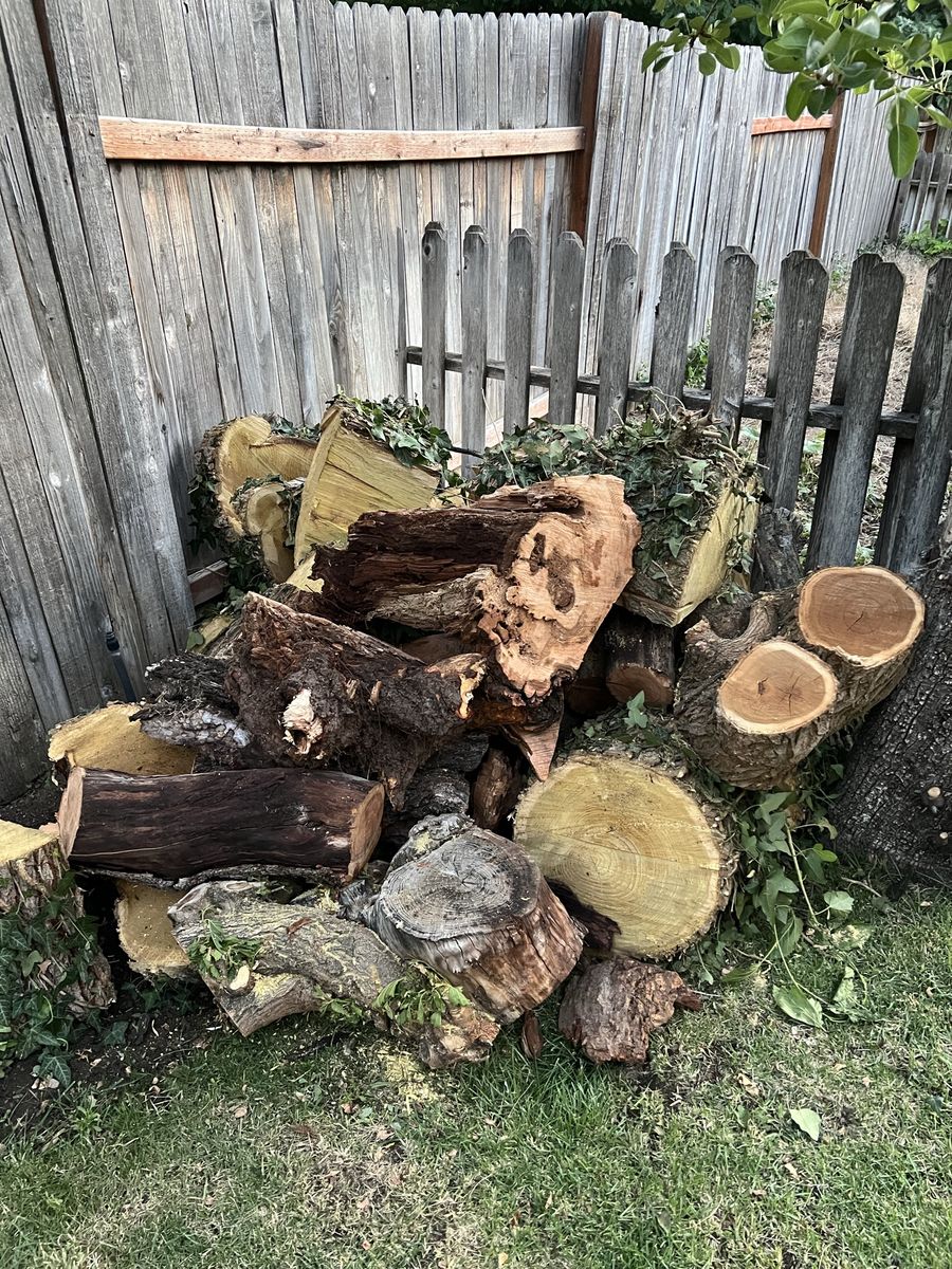 FREE FIREWOOD