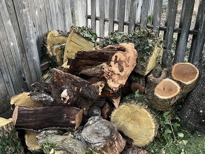 FREE FIREWOOD